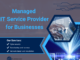 What is a Managed IT Service Provider? Benefits for Businesses